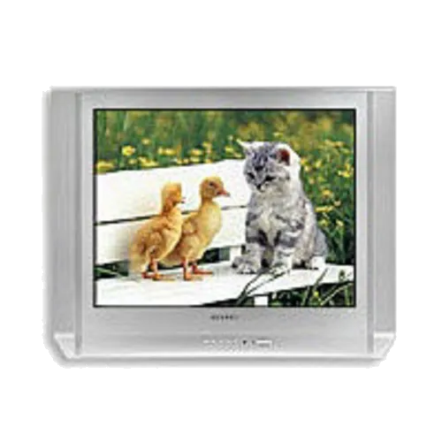 Замена трансформаторов подсветки Samsung CS-29 V10 MGR
