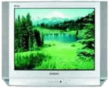 Замена трансформаторов подсветки Samsung CS-29D8 WTR