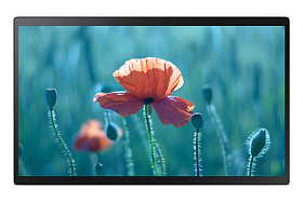 Замена дисплея (экрана) Samsung 24